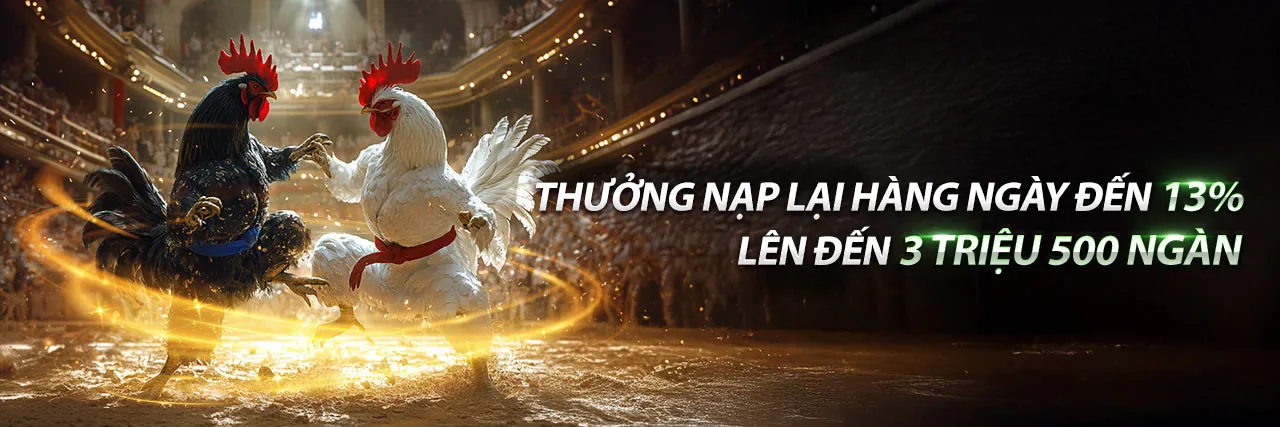 Đá Gà Trực Tuyến Hấp Dẫn tại PBV88 Nhà Cái